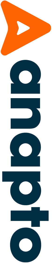 About - Anapto Group